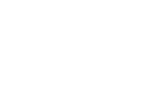 Freedom Plumbing White Logo